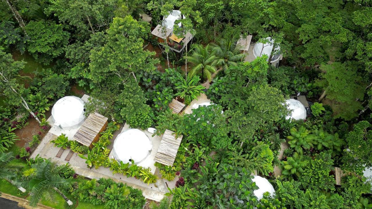 Palo Alto Glamping Hotel Quesada  Екстериор снимка