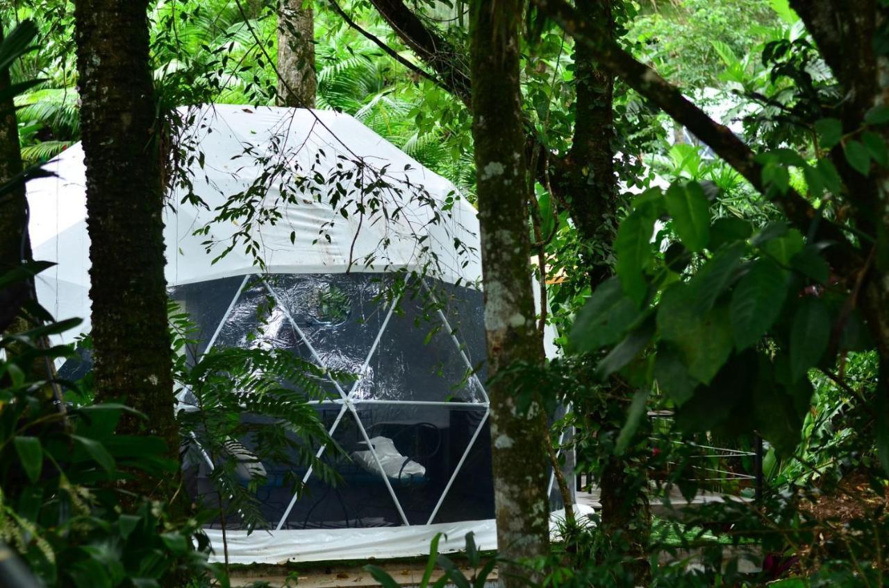Palo Alto Glamping Hotel Quesada  Екстериор снимка
