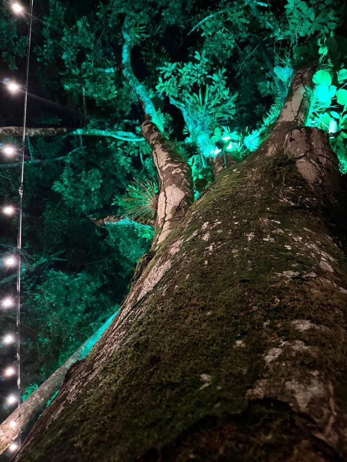 Palo Alto Glamping Hotel Quesada  Екстериор снимка