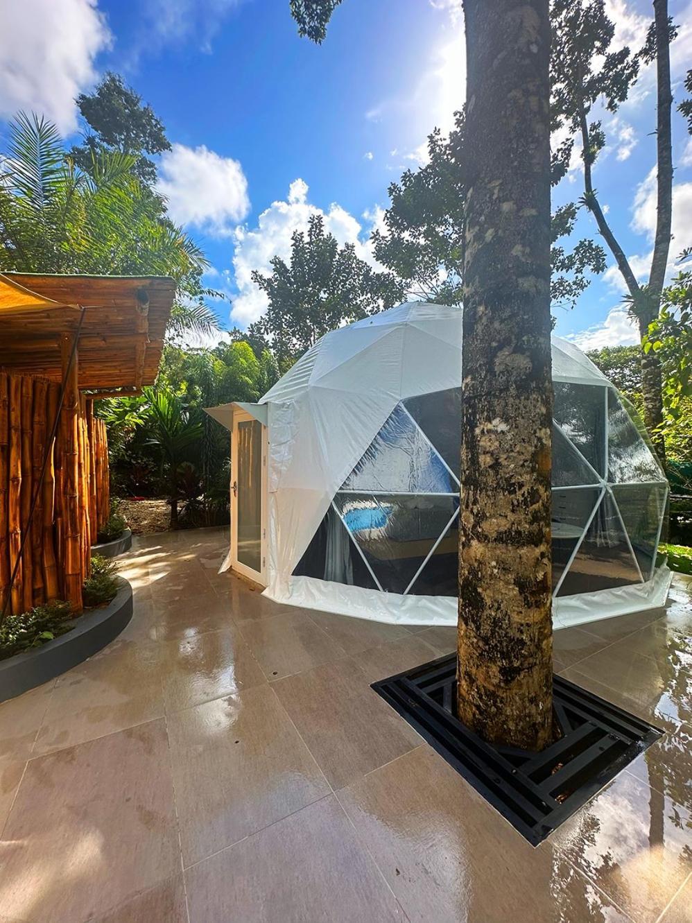 Palo Alto Glamping Hotel Quesada  Стая снимка
